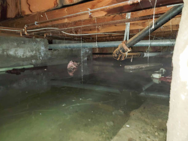 Best 24-hour water damage restoration  in Bremen, OH