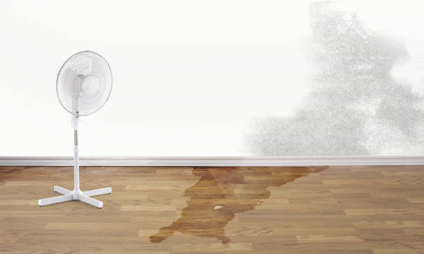 Best Fire Damage Restoration  in Bremen, OH