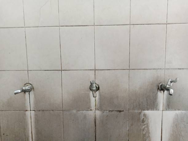 Best Local water damage restoration  in Bremen, OH